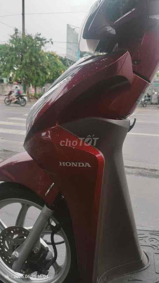 vi son 2020 - ảnh 3