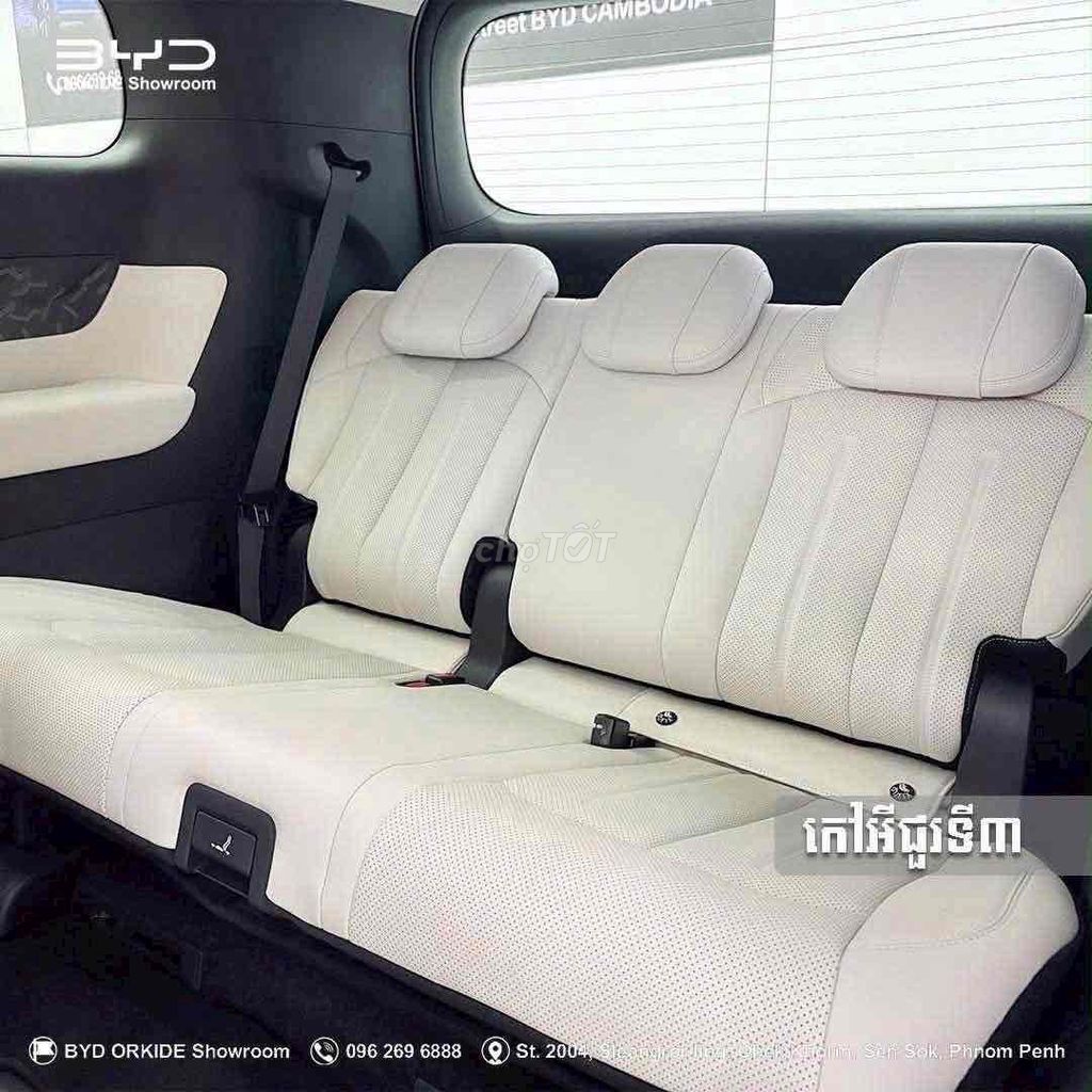 BYD - ảnh 1