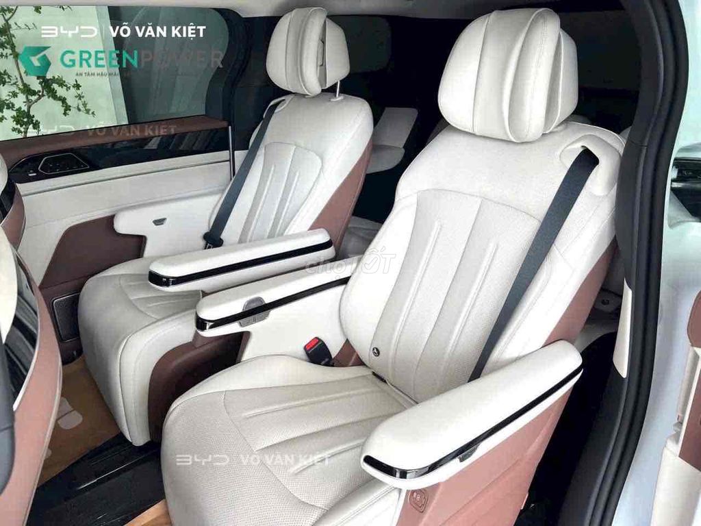 BYD - ảnh 2