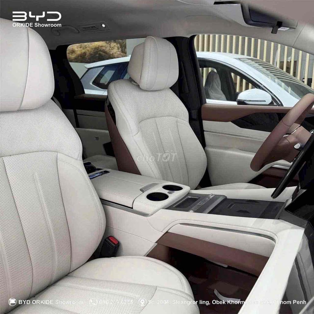 BYD - ảnh 5
