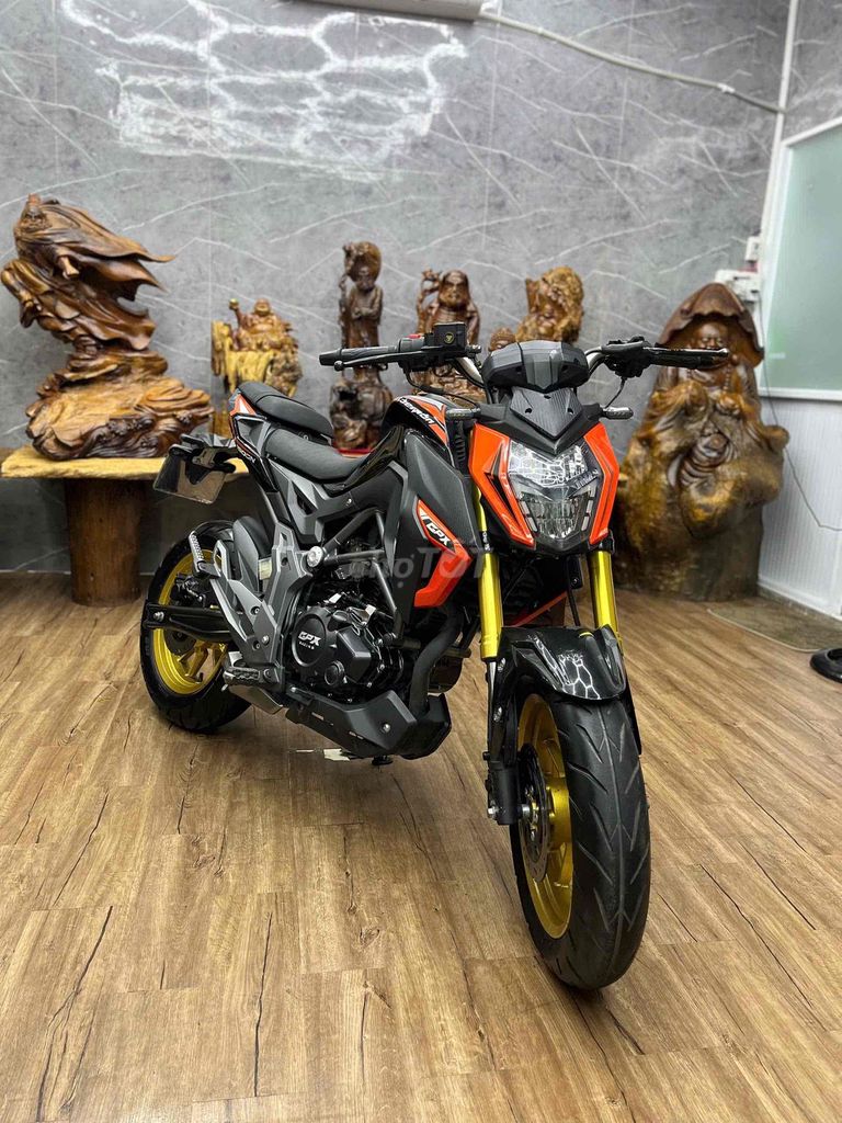 GPX Demon 2020 - ảnh 1