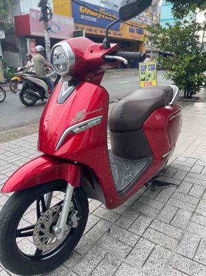Xe m 2025 - ảnh 1