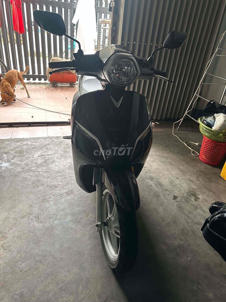 Xe m 2019 - ảnh 1