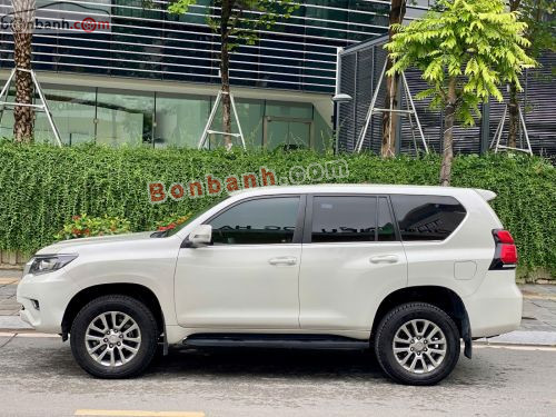 Toyota Prado VX 2.7L 2019 - ảnh 3