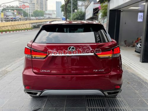 Lexus RX 300 2021 - ảnh 5