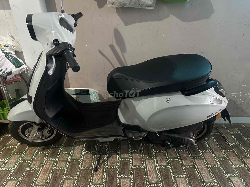 xe 2024 - ảnh 1