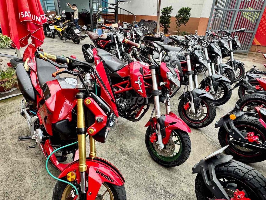 Benelli TNT 2018 - ảnh 5