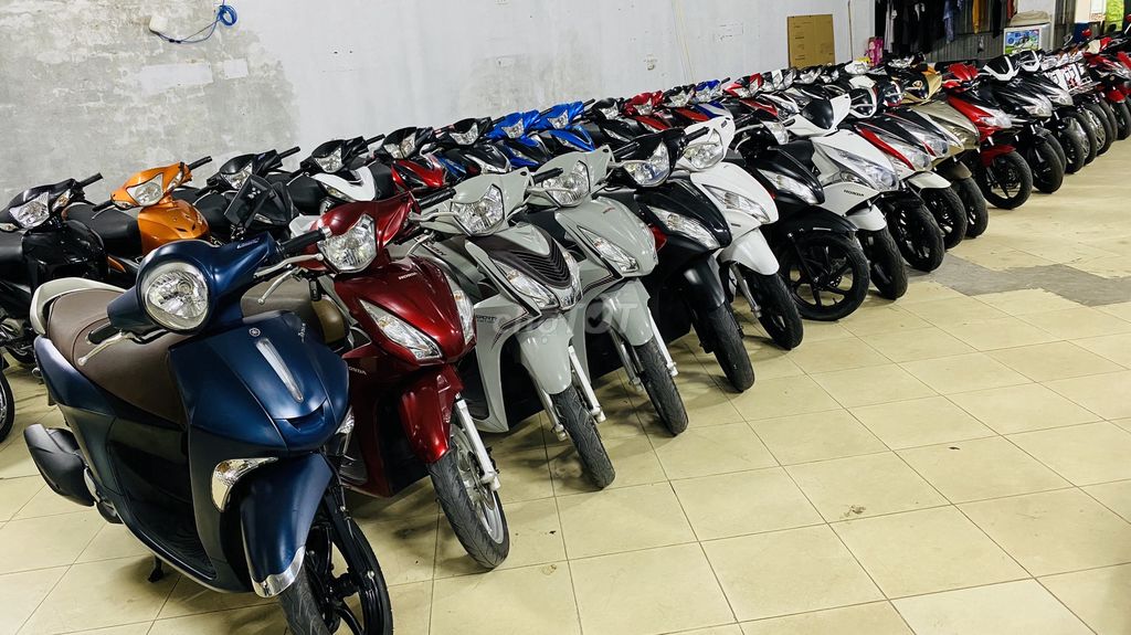 XE M 2022 - ảnh 5