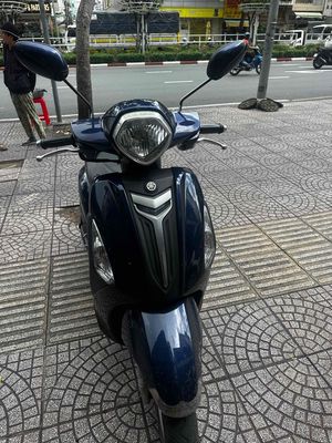 grande bstp 2015 - ảnh 1