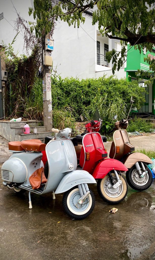 Vespa 1980 - ảnh 3