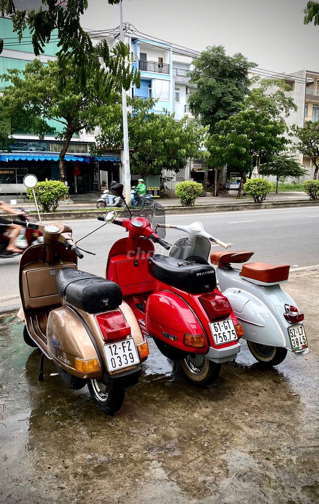 Vespa 1980 - ảnh 5