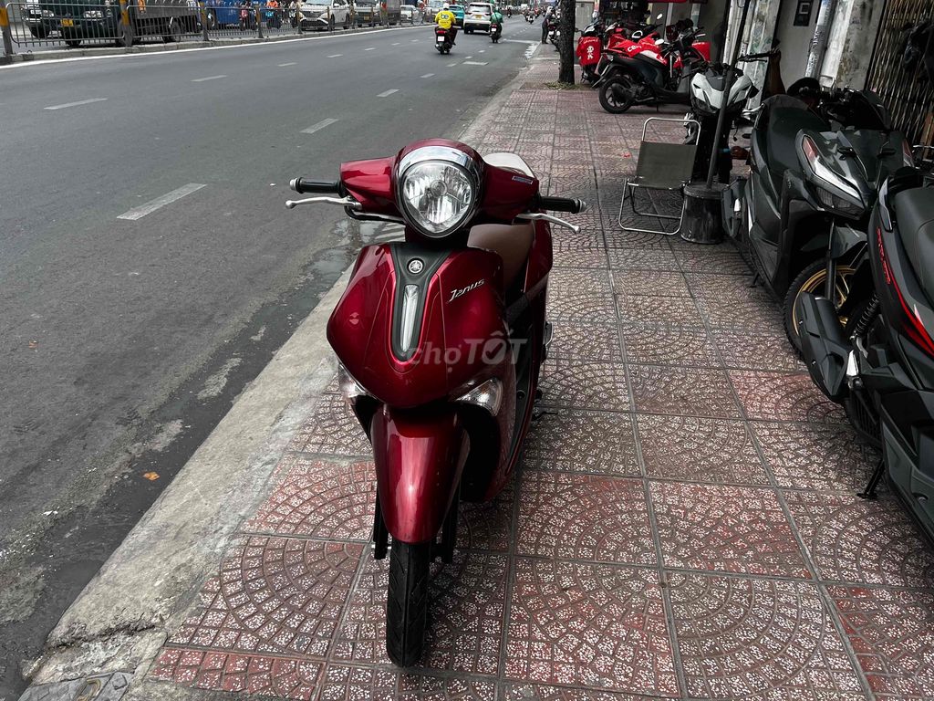 Yamaha Janus 2024 - ảnh 1