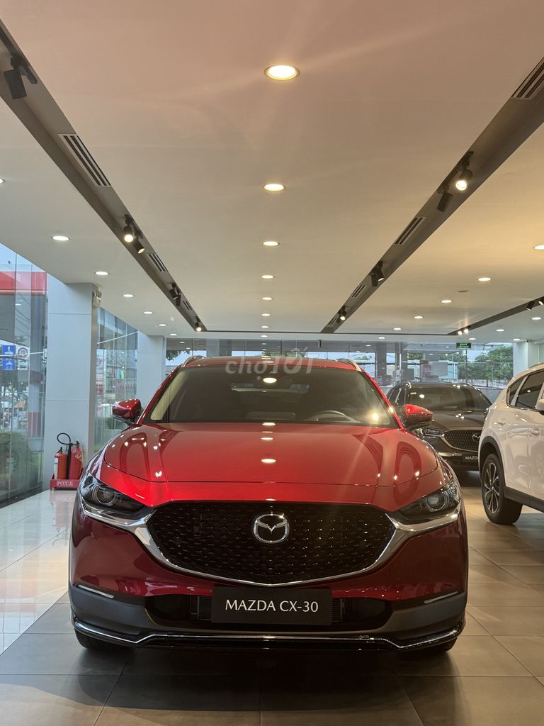 Mazda - ảnh 1