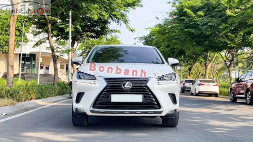 Lexus NX 300 2019 - ảnh 1