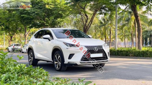 Lexus NX 300 2019 - ảnh 2