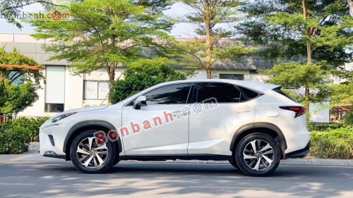 Lexus NX 300 2019 - ảnh 4