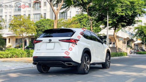 Lexus NX 300 2019 - ảnh 5