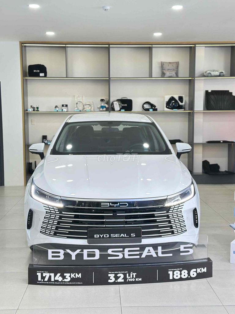 BYD - ảnh 1