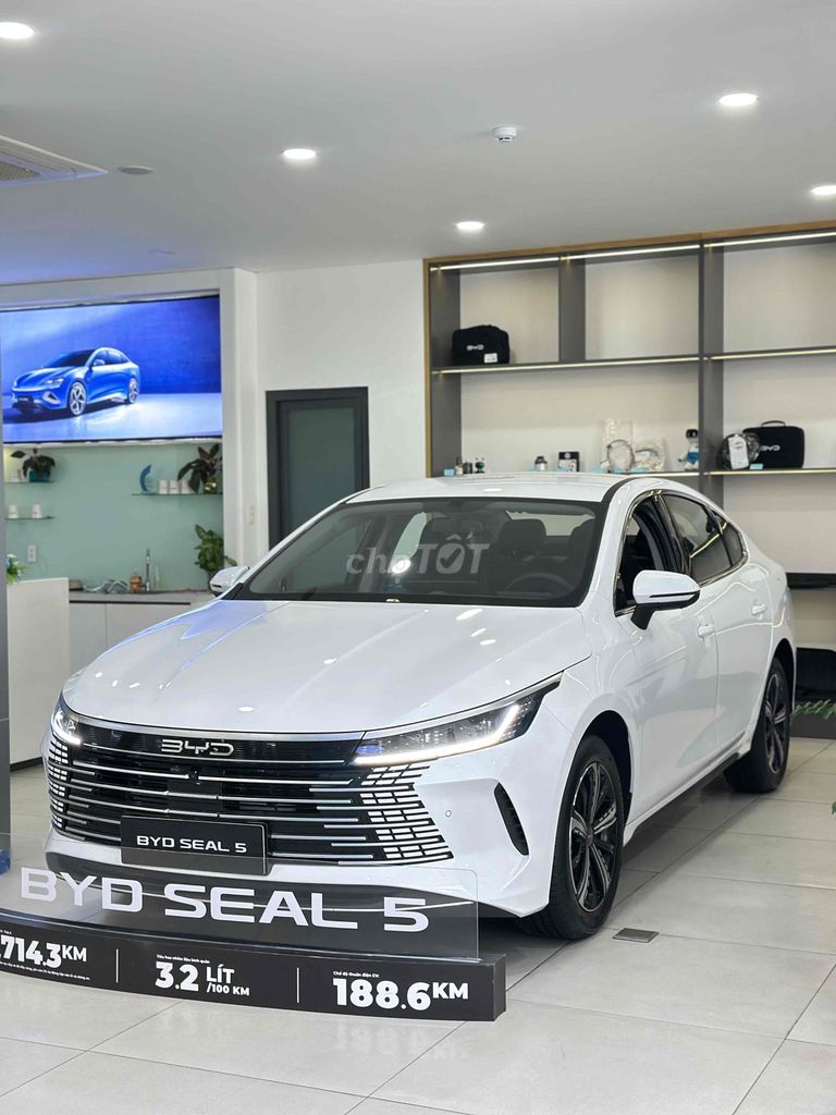 BYD - ảnh 2