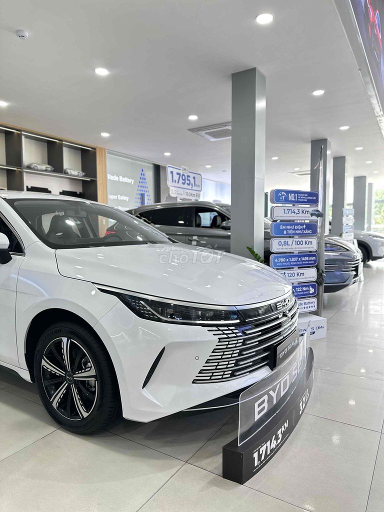 BYD - ảnh 3