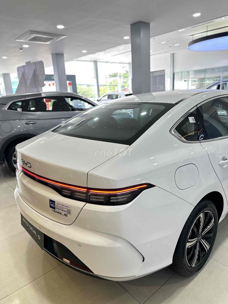 BYD - ảnh 4