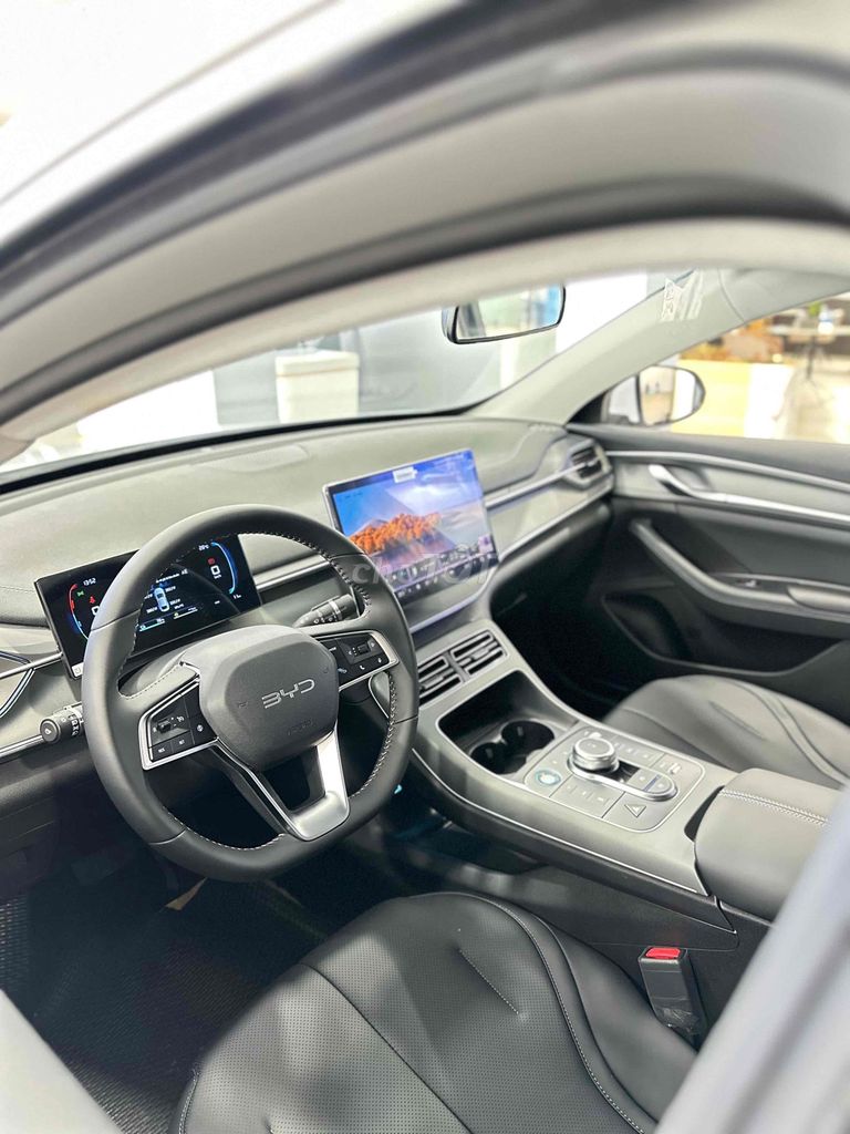 BYD - ảnh 5