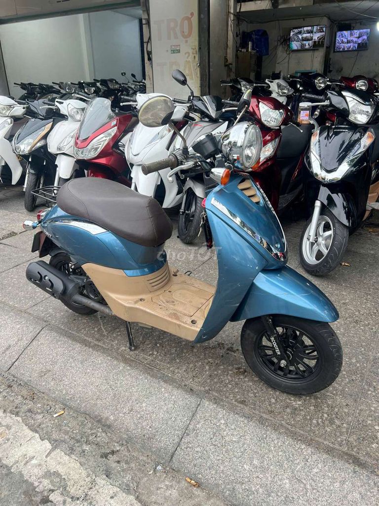 HSVT 2023 - ảnh 4