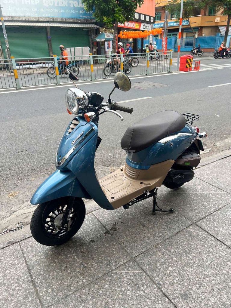 HSVT 2023 - ảnh 5