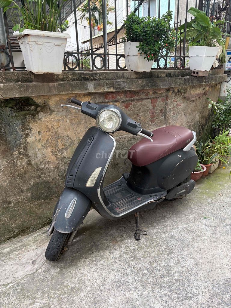 Xe 2023 - ảnh 1