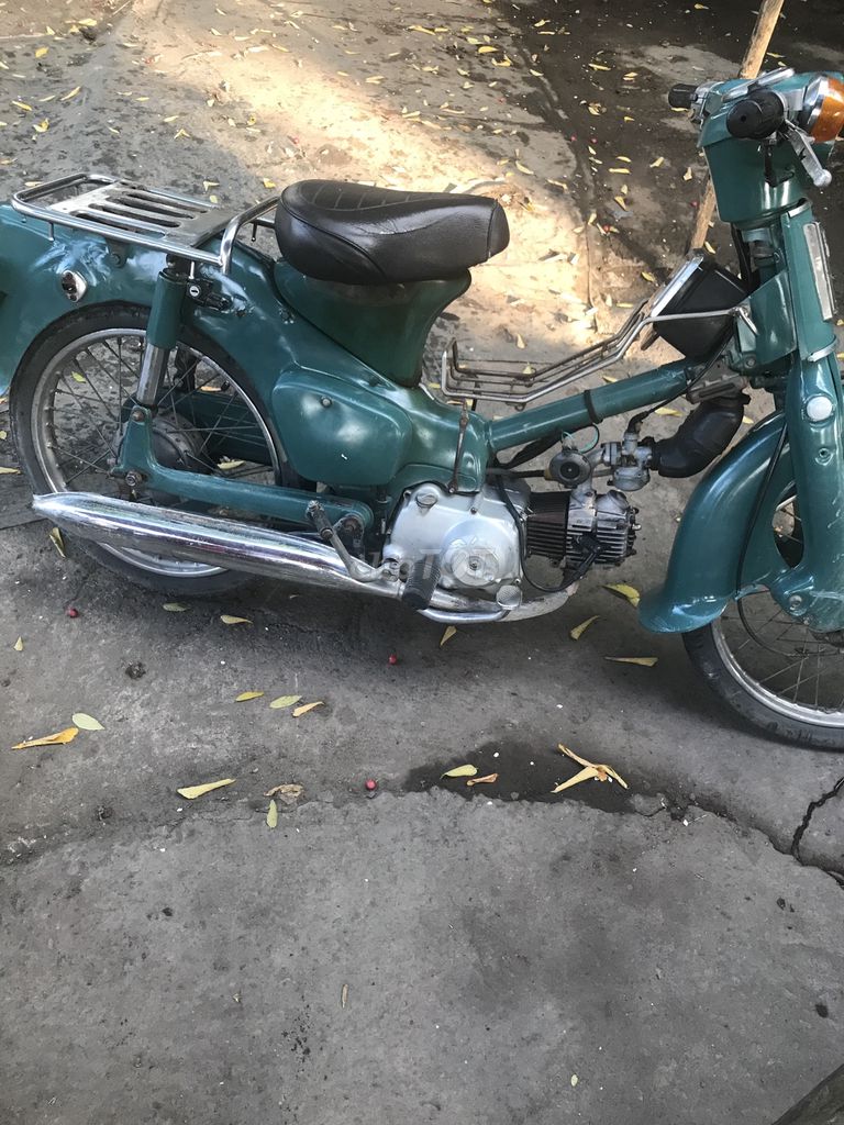Honda Cub 1981 - ảnh 1