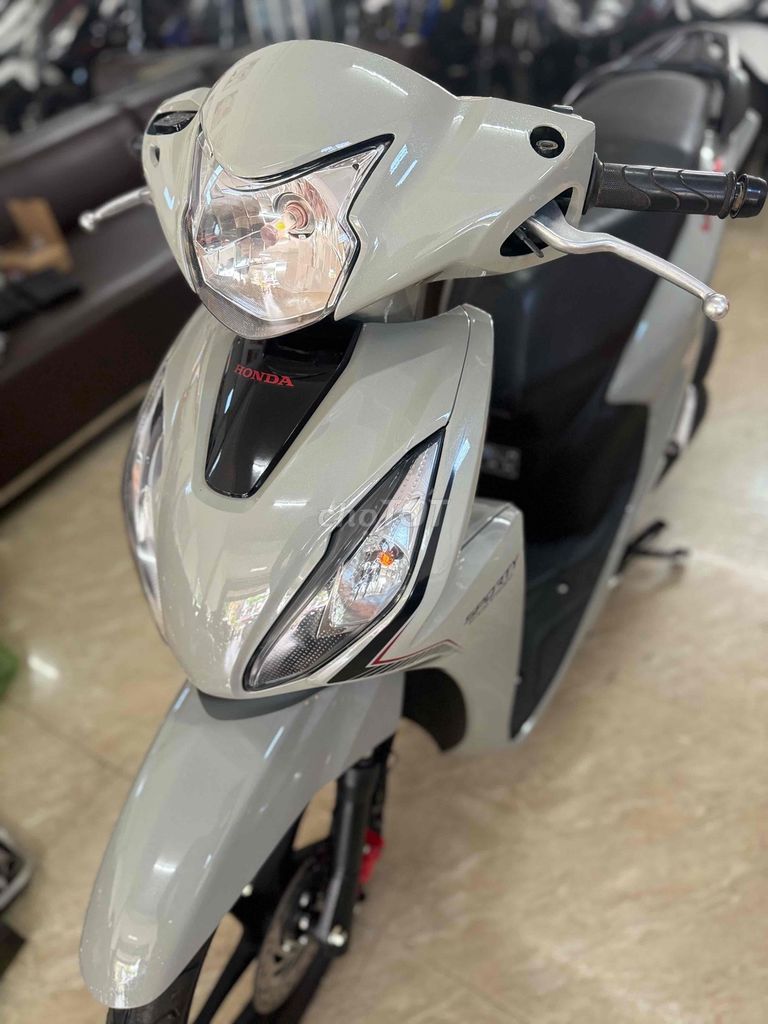 vision b 2023 - ảnh 3