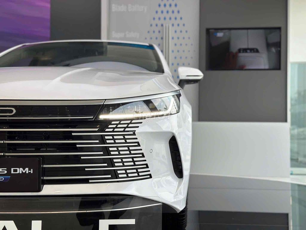 BYD 2025 - ảnh 2