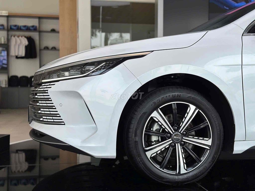 BYD 2025 - ảnh 3