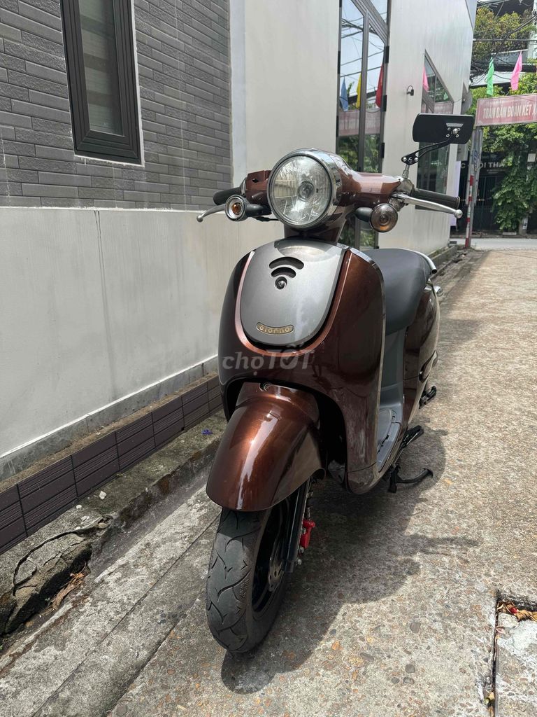 Xe tay 2018 - ảnh 2
