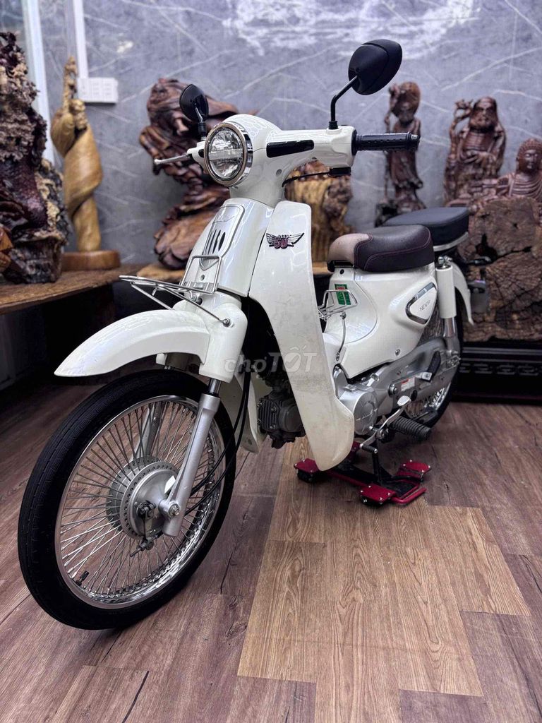 Cub 2023 - ảnh 1