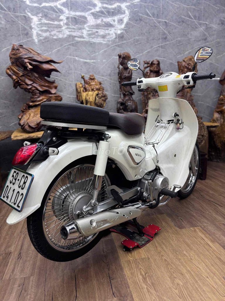 Cub 2023 - ảnh 2