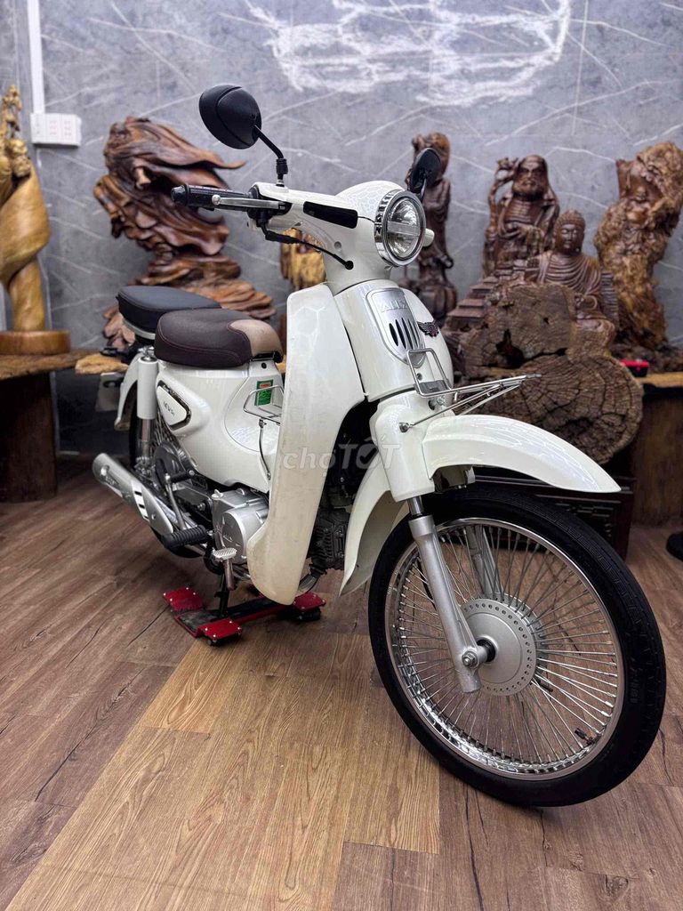 Cub 2023 - ảnh 3