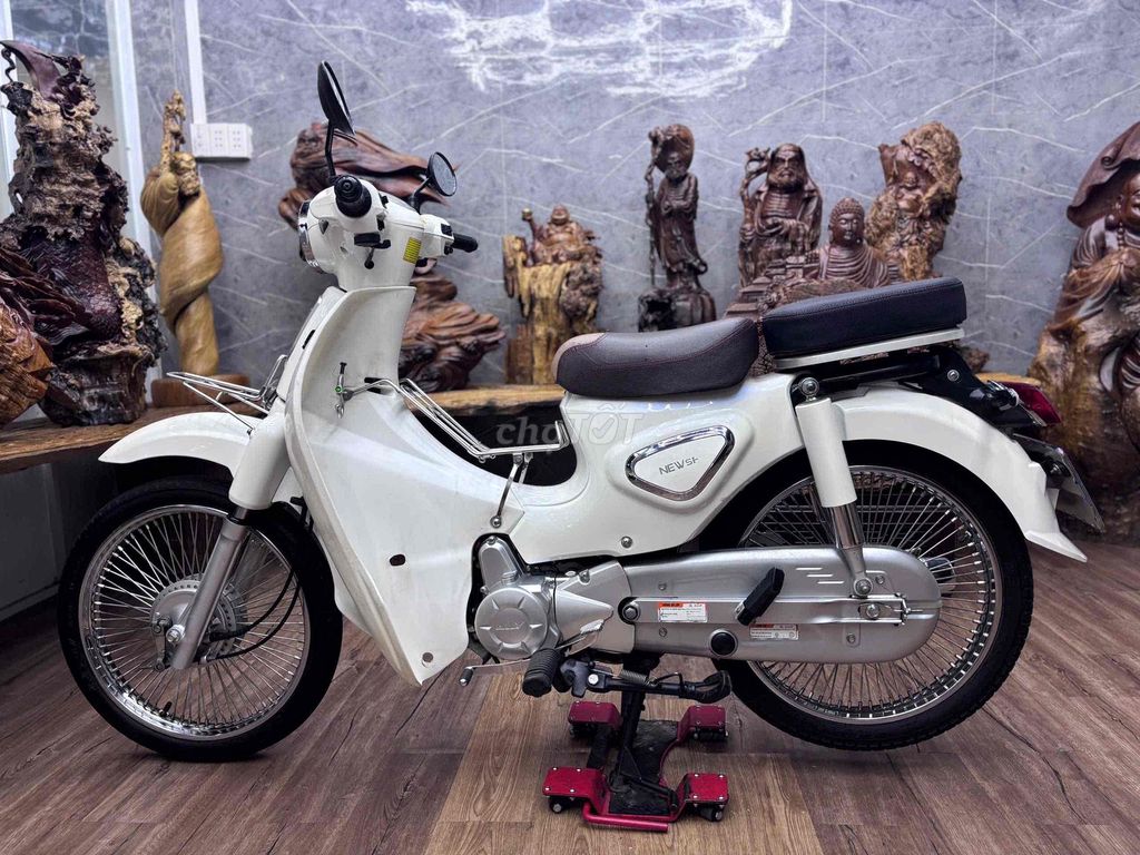 Cub 2023 - ảnh 4