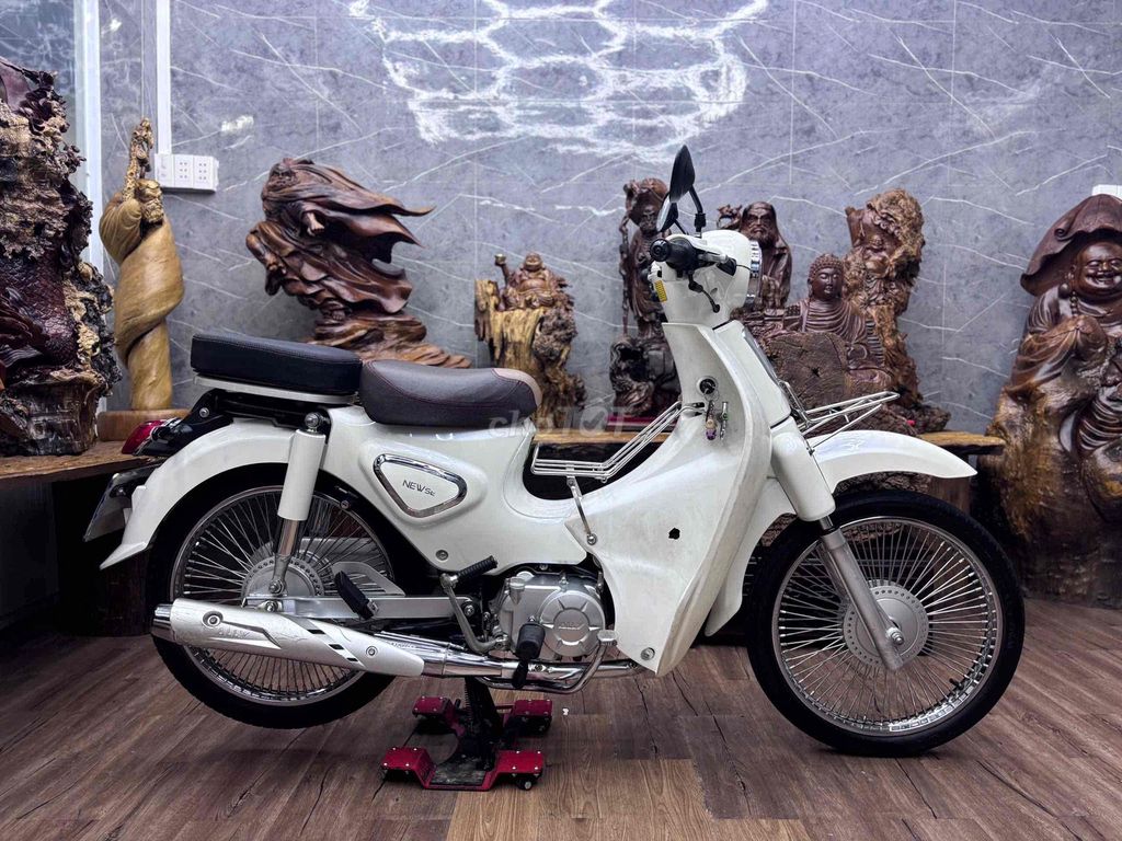 Cub 2023 - ảnh 5