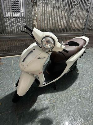 Yamaha Janus 2019 - ảnh 1
