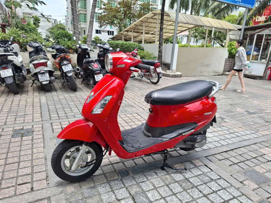 xe alizabet 2012 - ảnh 1