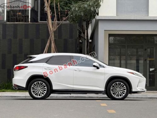 Lexus RX 300 2021 - ảnh 3