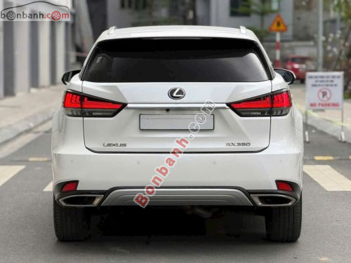 Lexus RX 300 2021 - ảnh 4