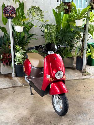 Xe m 2025 - ảnh 1