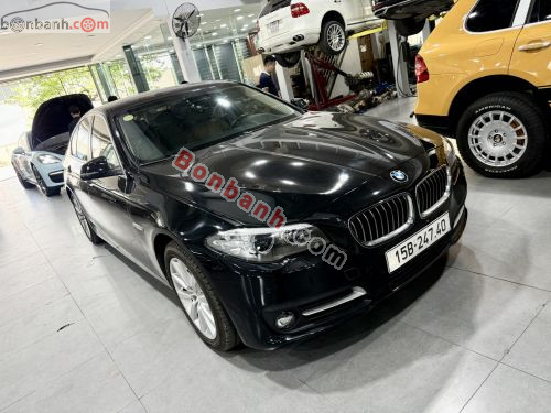 BMW 5 Series 520i 2016 - ảnh 1