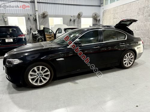 BMW 5 Series 520i 2016 - ảnh 2