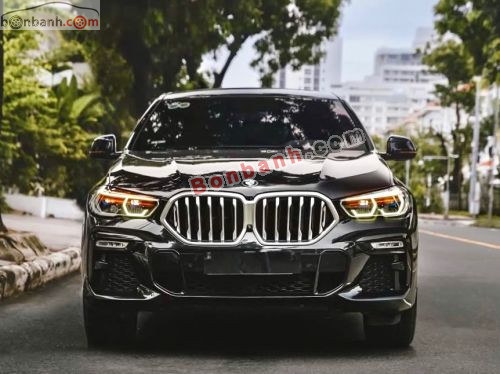 BMW X6 xDrive40i M Sport 2020 - ảnh 1