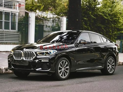 BMW X6 xDrive40i M Sport 2020 - ảnh 3