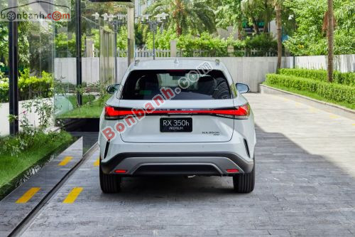 Lexus RX 350h Premium 2026 - ảnh 5