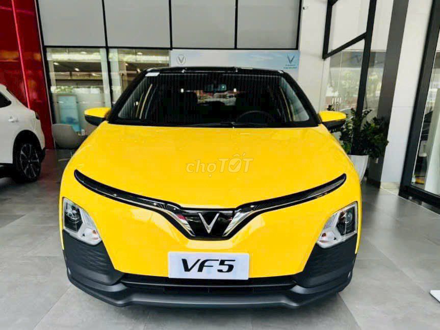 VinFast - ảnh 3